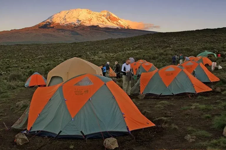Shira Camp